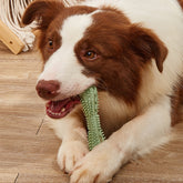 Premium Dog Teeth Cleaning Chew Toys – Durable, Safe & Vet-Recommended Dental Care